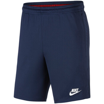 Abbigliamento Uomo Shorts / Bermuda Nike AO5292-410 Blu