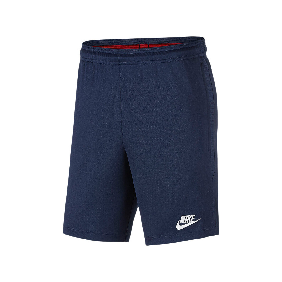 Abbigliamento Uomo Shorts / Bermuda Nike AO5292-410 Blu