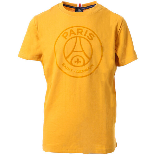 Abbigliamento Bambino T-shirt maniche corte Paris Saint-germain P13619CL26 Giallo