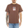 Abbigliamento Uomo T-shirt & Polo Obey Surveillance Organic Tee Sepia Marrone
