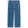 Abbigliamento Uomo Pantaloni Vans Drill chore carp checkboard denim pant Blu