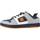 Scarpe Uomo Sneakers DC Shoes MANTECA 4 M SHOE Blu