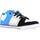 Scarpe Bambino Sneakers basse DC Shoes PURE MID Blu