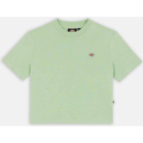 Abbigliamento Donna Camicie Dickies OAKPORT BOXY TEE SS W Verde