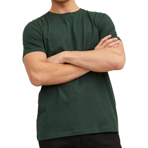 Abbigliamento Uomo T-shirt maniche corte Jack & Jones 12156101 Verde