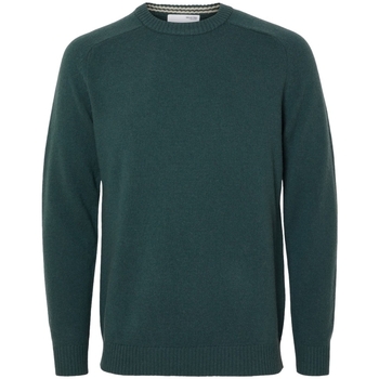 Abbigliamento Uomo Maglioni Selected Noos New Coban Knit - Green Gables/Kelp Verde