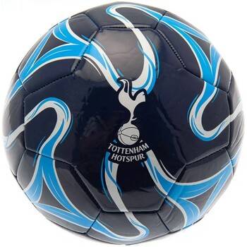 Accessori Accessori sport Tottenham Hotspur Fc Cosmos Blu