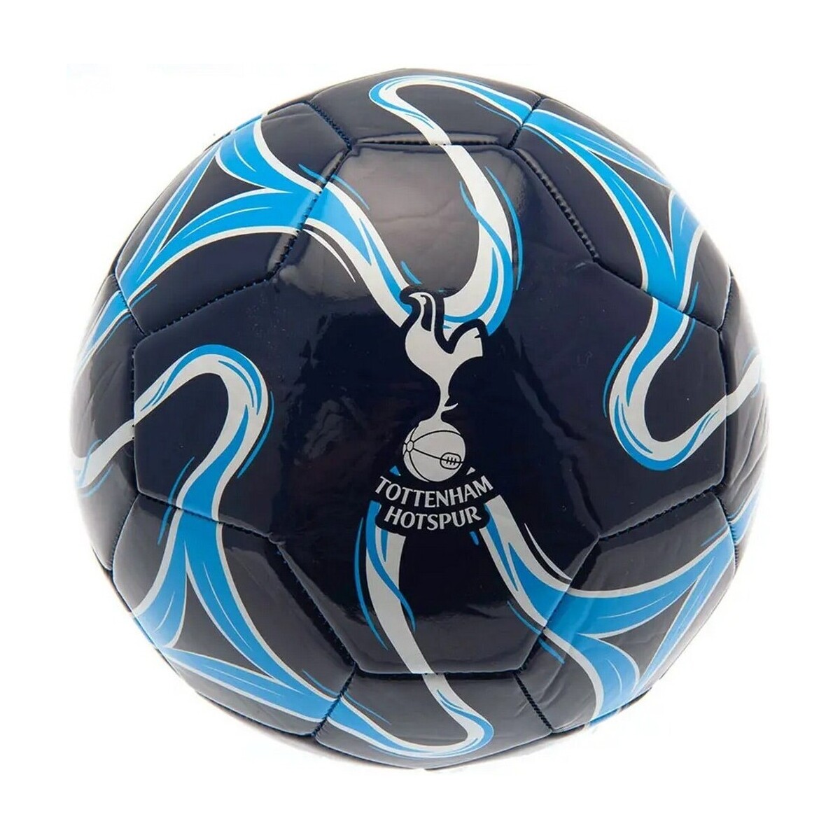 Accessori Accessori sport Tottenham Hotspur Fc Cosmos Blu
