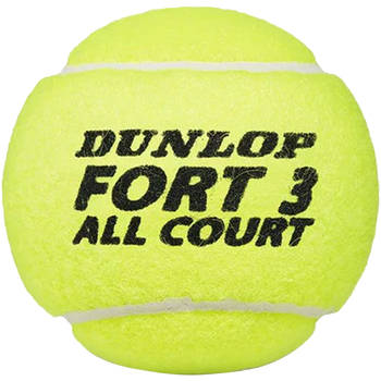 Accessori Accessori sport Dunlop Fort All Court Multicolore