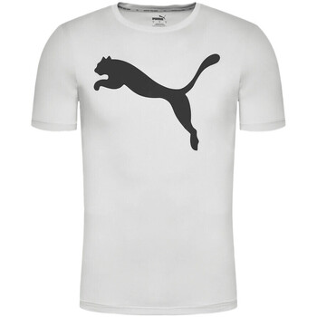 Abbigliamento Uomo T-shirt & Polo Puma 586724-09 Grigio