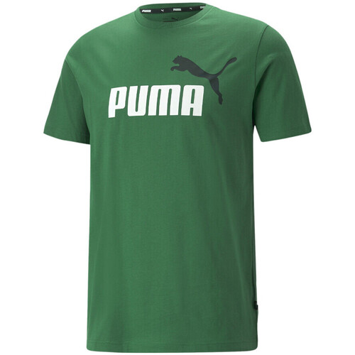 Abbigliamento Uomo T-shirt & Polo Puma 586759-37 Verde