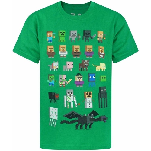 Abbigliamento Unisex bambino T-shirt maniche corte Minecraft NS7307 Verde