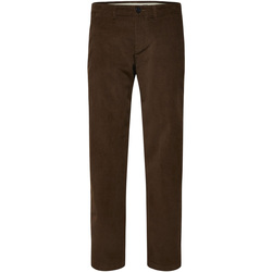 Abbigliamento Uomo Pantaloni Selected Slhstraight-Miles 196 Cord Pants W Noos Marrone
