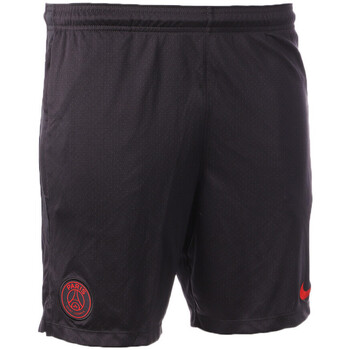 Abbigliamento Uomo Shorts / Bermuda Nike AQ1222-082 Nero