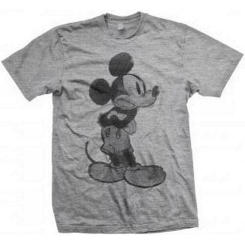 Abbigliamento T-shirts a maniche lunghe Disney RO6724 Grigio
