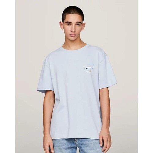 Abbigliamento Uomo T-shirt maniche corte Tommy Hilfiger DM0DM18283C1O Blu