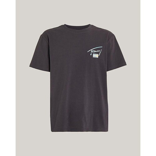 Abbigliamento Uomo T-shirt maniche corte Tommy Hilfiger DM0DM18283PUB Blu
