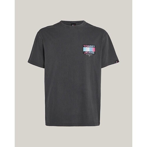 Abbigliamento Uomo T-shirt maniche corte Tommy Hilfiger DM0DM18300PUB Blu