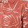 Abbigliamento Uomo T-shirt & Polo Kaporal NEDAE23M91 Arancio