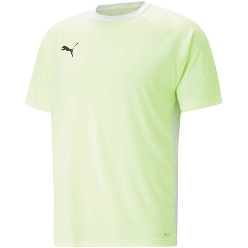 Abbigliamento Uomo T-shirt & Polo Puma 931832 Verde