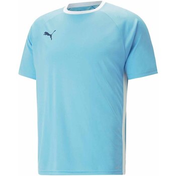 Abbigliamento Uomo T-shirt & Polo Puma 931832 Blu