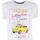 Abbigliamento Uomo T-shirt & Polo Yes Zee T730 S102 Bianco