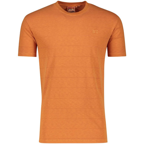 Abbigliamento Uomo T-shirt & Polo Superdry M1011570A Arancio