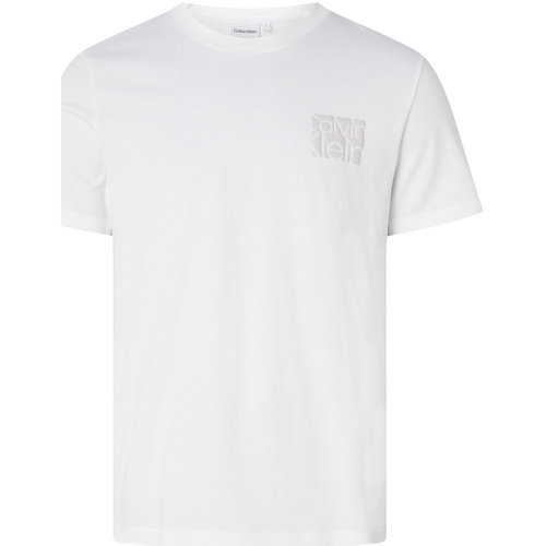 Abbigliamento Uomo T-shirt & Polo Calvin Klein Jeans K10K111129 Bianco