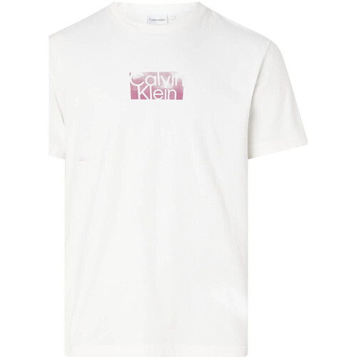 Abbigliamento Uomo T-shirt & Polo Calvin Klein Jeans K10K111119 Beige