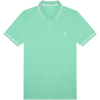 Abbigliamento Uomo T-shirt & Polo Calvin Klein Jeans J30J315603 Verde