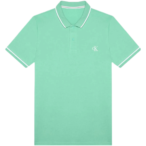 Abbigliamento Uomo T-shirt & Polo Calvin Klein Jeans J30J315603 Verde