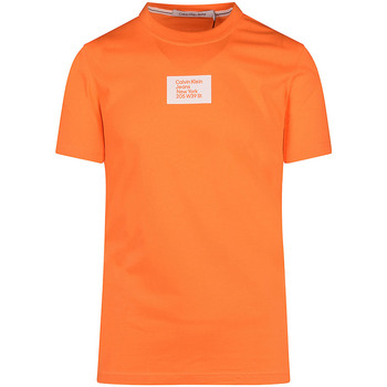 Abbigliamento Uomo T-shirt & Polo Calvin Klein Jeans J30J322879 Arancio