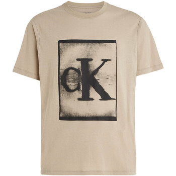 Abbigliamento Uomo T-shirt & Polo Calvin Klein Jeans 00GMS3K113 Beige