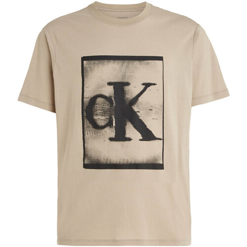 Abbigliamento Uomo T-shirt & Polo Calvin Klein Jeans 00GMS3K113 Beige