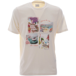 Abbigliamento Uomo T-shirt & Polo Sseinse TE2483SS Bianco