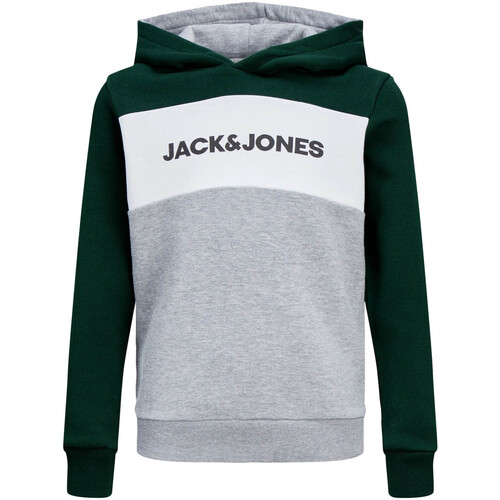 Abbigliamento Unisex bambino Felpe Jack&jones Junior 12173901 Verde