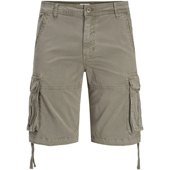 Abbigliamento Uomo Shorts / Bermuda Jack & Jones 12205883 Verde