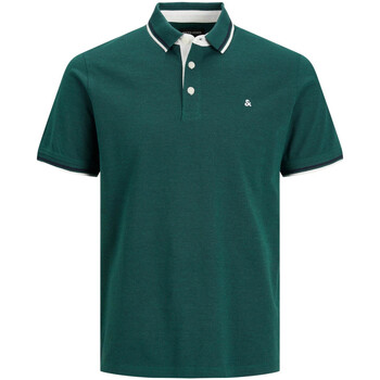Abbigliamento Uomo T-shirt & Polo Jack & Jones 12136668 Verde