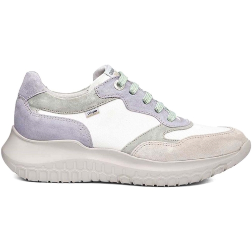 Scarpe Donna Sneakers CallagHan 53802 Grigio