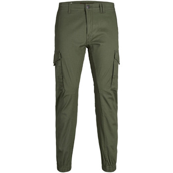Abbigliamento Uomo Pantaloni Jack & Jones 12141844 Verde