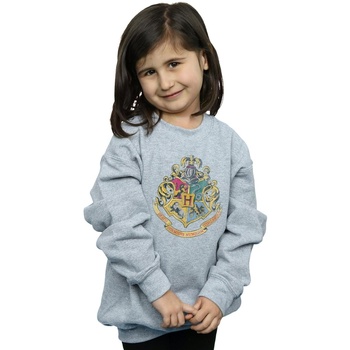 Abbigliamento Bambina Felpe Harry Potter BI1056 Grigio