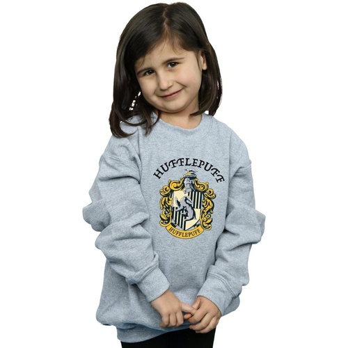 Abbigliamento Bambina T-shirts a maniche lunghe Harry Potter BI1068 Grigio