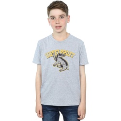 Abbigliamento Bambino T-shirts a maniche lunghe Harry Potter BI1084 Grigio