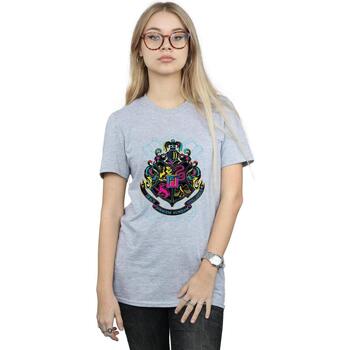 Abbigliamento Donna T-shirts a maniche lunghe Harry Potter BI1262 Grigio