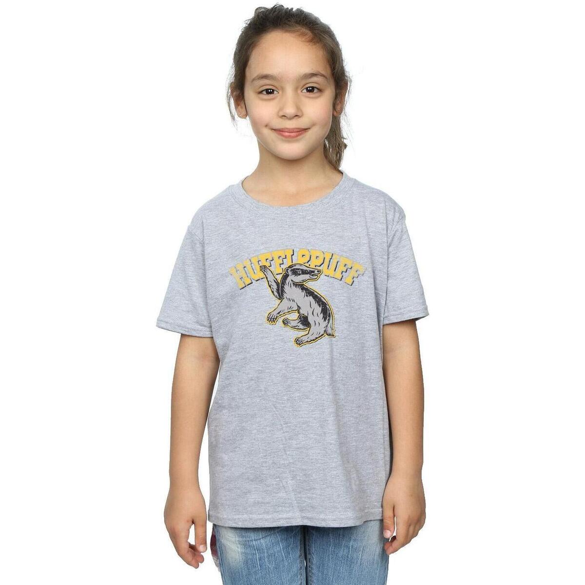 Abbigliamento Bambina T-shirts a maniche lunghe Harry Potter BI1283 Grigio