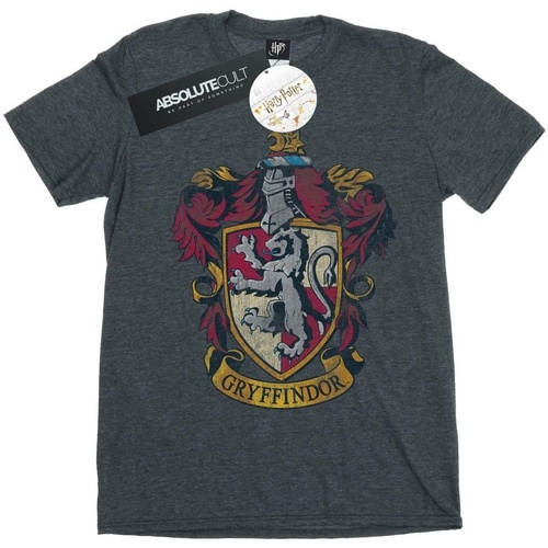 Abbigliamento Bambino T-shirts a maniche lunghe Harry Potter BI1322 Grigio