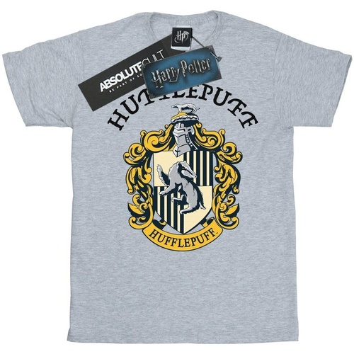 Abbigliamento Uomo T-shirts a maniche lunghe Harry Potter BI1331 Grigio