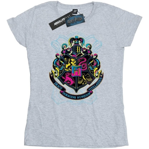 Abbigliamento Donna T-shirts a maniche lunghe Harry Potter BI1383 Grigio