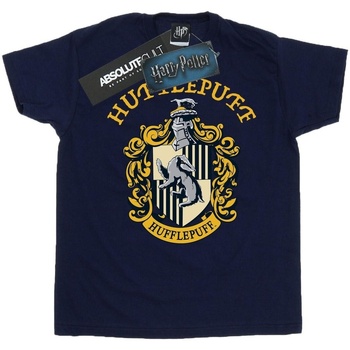 Abbigliamento Bambina T-shirts a maniche lunghe Harry Potter BI1557 Blu