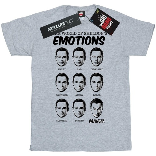 Abbigliamento Donna T-shirts a maniche lunghe The Big Bang Theory Emotions Grigio